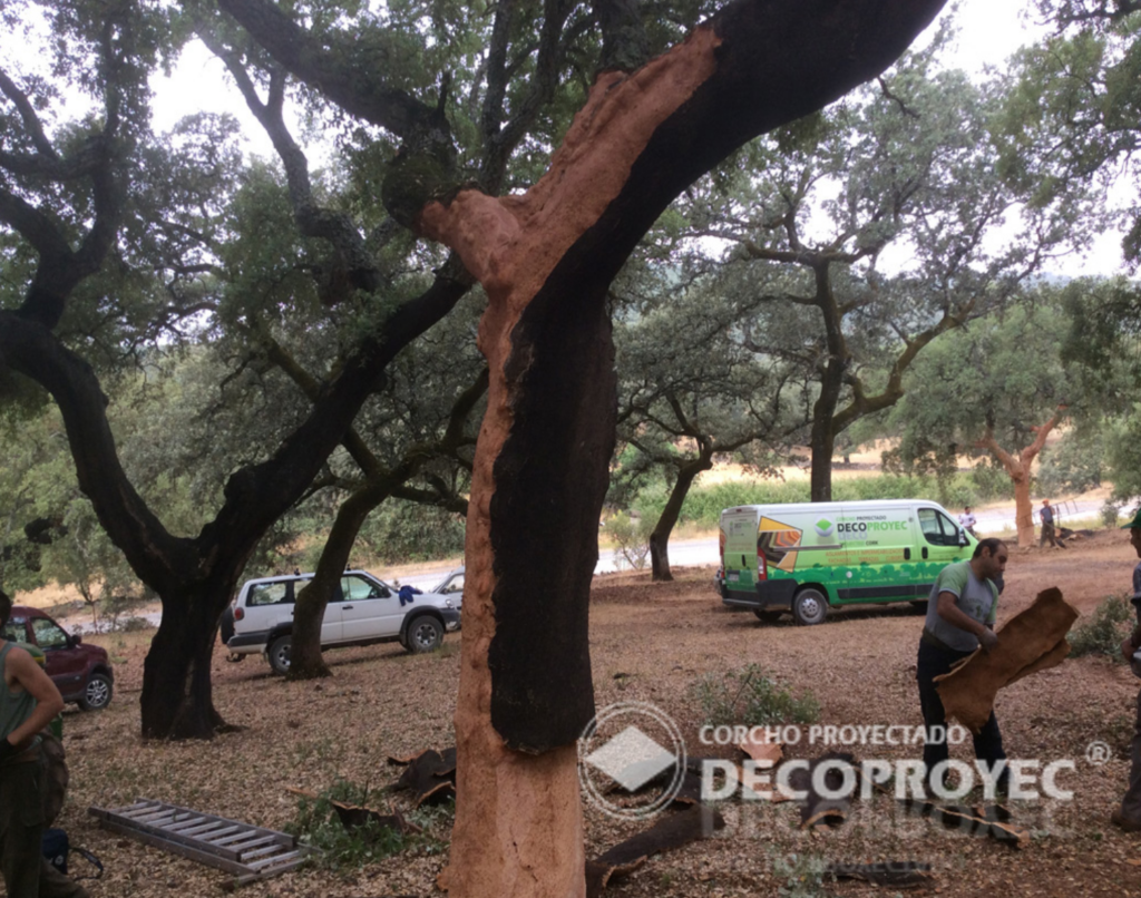Cork-textured coating