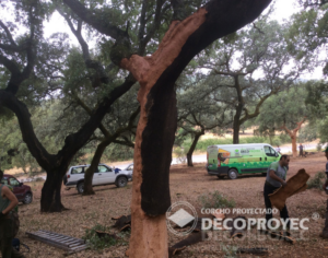 Cork-textured coating
