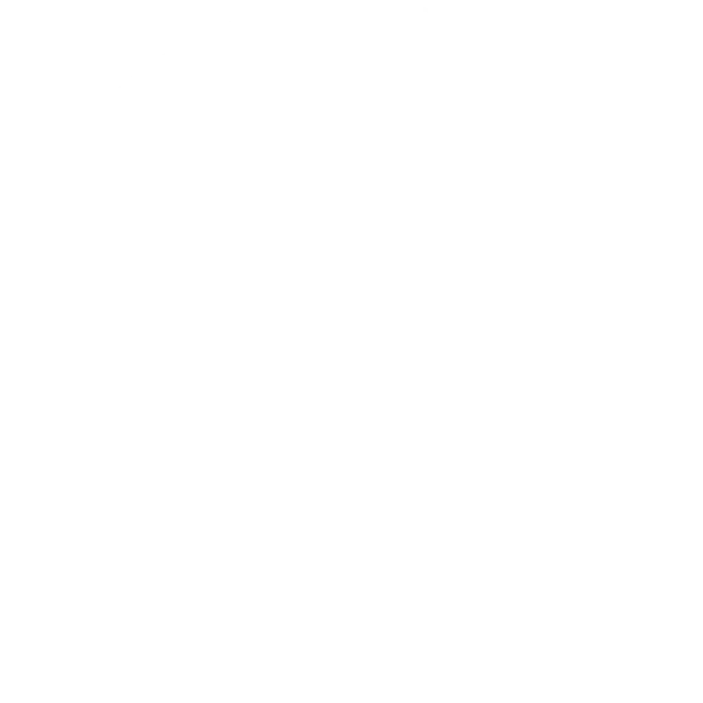 exterior wall repair